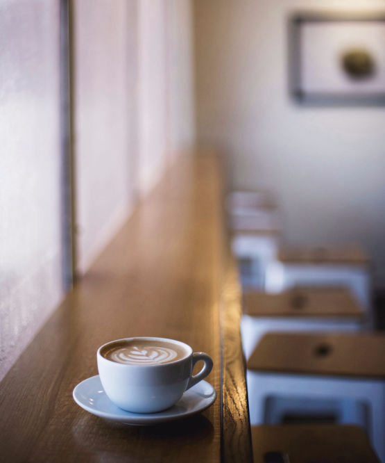 Normandie Désinsectisation à Condé-en-Normandie : nous contacter